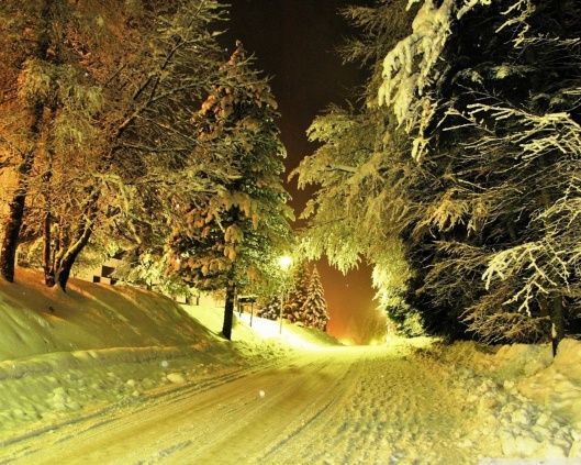 snowy_road_night-wallpaper-1280x1024