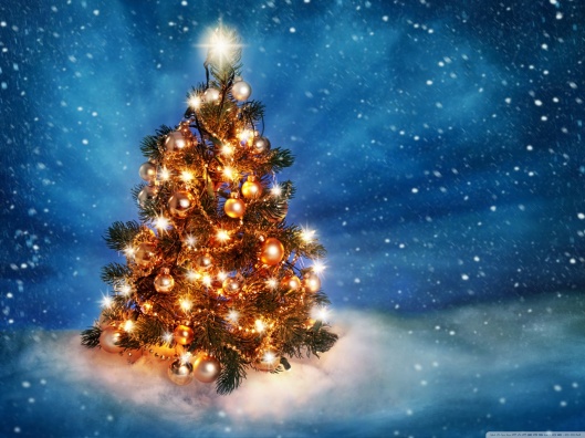 christmas_tree_2015-wallpaper-1280x960